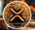 XRP-7